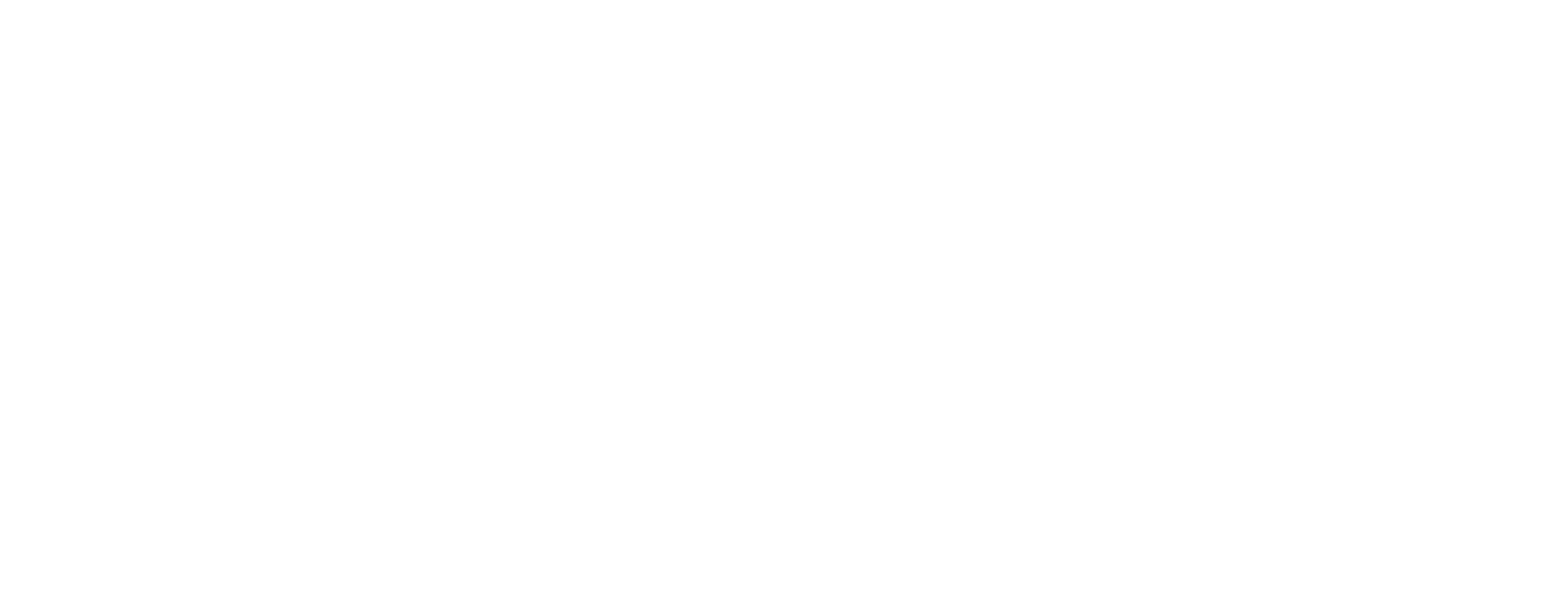 MICHAEL SCHMIDT MOTOR GMBH